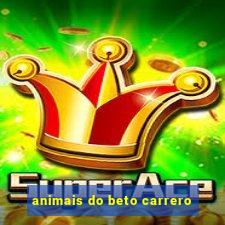 animais do beto carrero